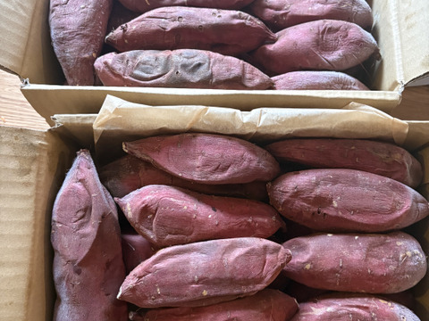 【冷凍焼き芋】ふくむらさき　2kg＋α