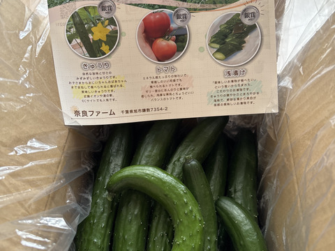 【特別価格】【訳あり】星３つ🌟新鮮朝採りきゅうり🥒1.8kg〜2.0kg色々詰め合わせ【千葉県旭市産】