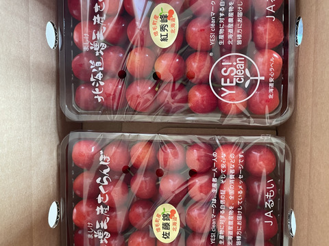 北海道産さくらんぼ【紅秀峰】2kg