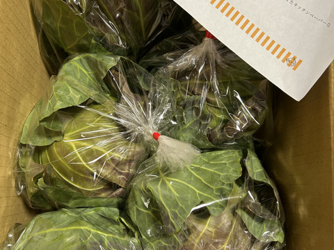 【期間限定！】大人気♪甘くて柔らか美味しさ感動級♪グリーンボール５玉