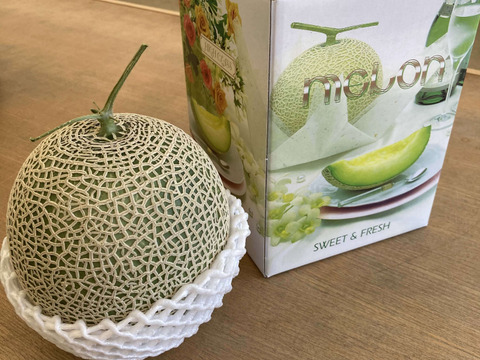 【夏ギフト】糖度15度以上！横浜青葉区産メロン１玉（赤肉）