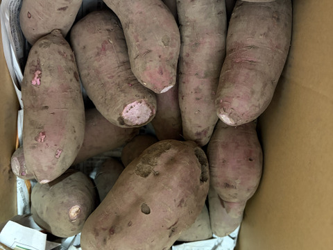 3kg⭐️訳あり⭐️紫芋⭐️パープルスイートロード