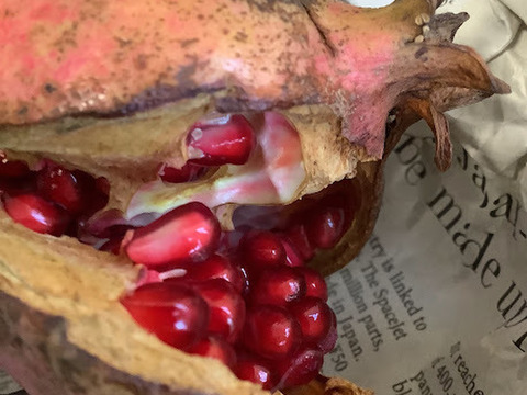 【希少‼数量限定】国産ザクロ　約250ｇ　※早い者勝ちです。