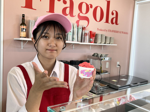 【最高金賞受賞のいちご農家が作る】イタリアンジェラート100ml×12個※フレーバーはおすすめで12種となります。