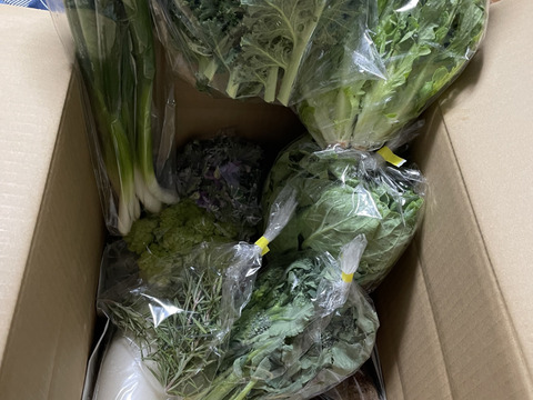 【今が旬！】シェフ御用達！医療人が栄養価にこだわった【旬の機能性野菜9~10品目セット】