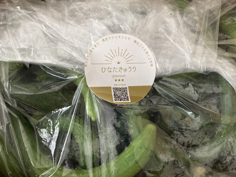 太陽のごちそう！チビひなたきゅうり希少品(箱重量込)2kg