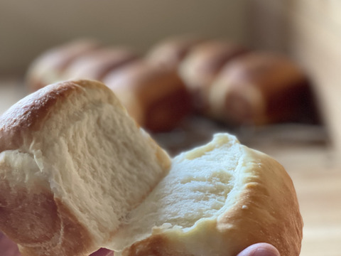 【小麦農家の朝食パン】バラエティ食パン４本！週１パンセット