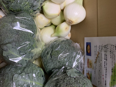 はるるん様専用