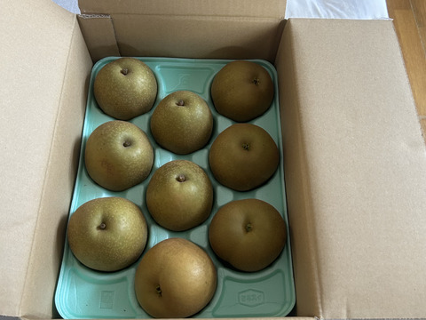 梨新品種「甘太」糖度約１４度３ｋｇ