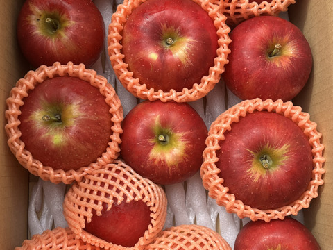 【クール便】紅玉❗️秋映詰合せ❗️3kg箱  信州りんご