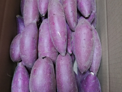 【贈答用】 里山ファームのシルクスイート ５ｋｇ ミックスサイズ