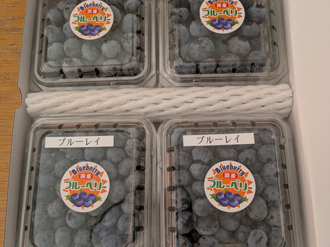 大粒ブルーベリーミックス500g(125g×4P)