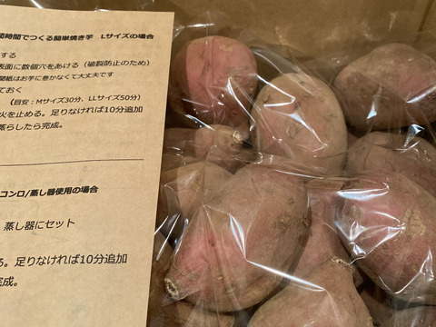 《Mサイズのみ》こばさんちの安納芋 ５KG  五島産 自然農業での栽培