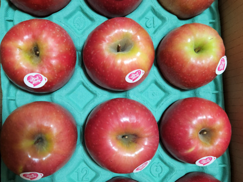 【終わります残り30ケース🍎シャキうま🍎】 ピンクレディー®︎3キロ箱  長野県 信州 安曇野 リンゴ 幻 幻のリンゴ 予約 希少 旬 6玉〜16玉サイズ 商品ID42100