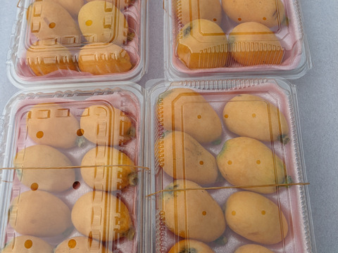 🍋びわ （なつたより）小玉Ｍサイズ ３２個入（贈答用）