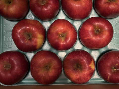 ≪最終出荷≫🏆食べチョクりんごグランプリ2025銀賞🏆幻のりんご【あいかの香り】ちょっぴり小玉の11玉　約3kg