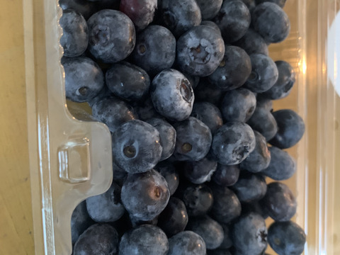 【食べチョク高評価No.1】ブルーベリー約1キロ【栽培期間中農薬不使用】大小ミックス 商品ID40461  旬 生食用 加工用 ベリー 果物 ギフト 贈答 家庭用 予約 6月 7月
