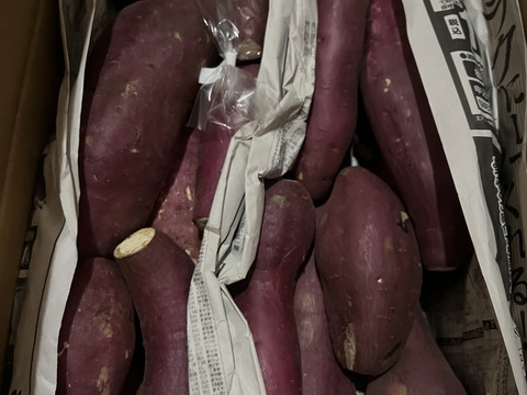 日替わり「さつまいも」2種類食べ比べセット！色々なサイズ入り  5キロ箱【訳あり】