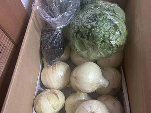 大好評，地層が違う淡路島、新玉ねぎスーパーアップ３キロ(風袋込み)