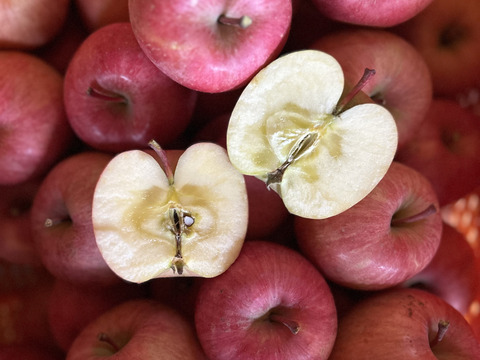 幻の蜜りんご‼️山形県産こうとく丸かじりサイズ【特秀2キロ】