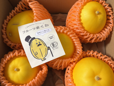 夏季限定！】まるでフルーツ！有機まくわ(5個入り)：滋賀県産の