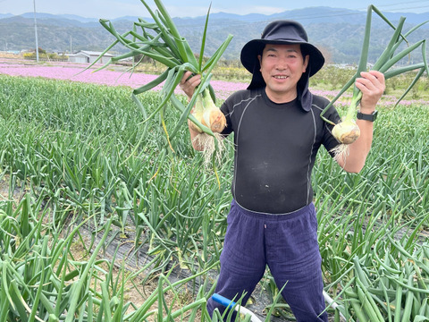 新玉ねぎ   9.5㎏