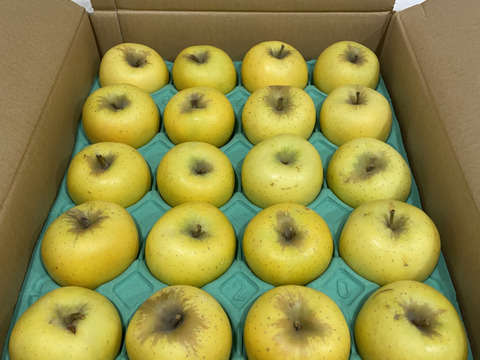 ラスト3件🏃‍♀️💨【正直人気はないですが旨いです！ 】シナノゴールド5キロ箱 訳あり品 ID21594 長野県 信州 安曇野 リンゴ 幻 幻のリンゴ 予約 希少 旬