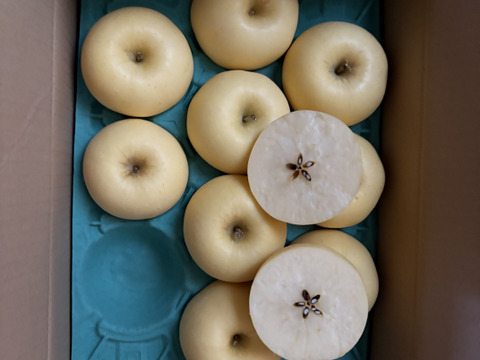 希少品種　はるか　３キロ　家庭用