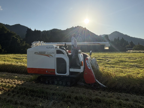 魚沼市で作った美味しいお米 精米 魚沼産コシヒカリ 5kg  魚沼市 令和7年産