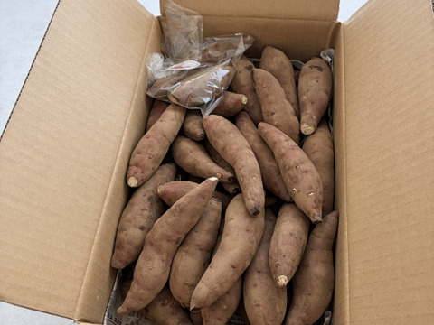 欲しかった❣️チビッコさつまいも🍠(紅はるか3kg)