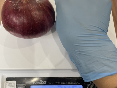 サラダに最高！赤玉ねぎ【農薬不使用  赤玉ねぎ】2kg 兵庫県丹波産 米農家のこだわり有機肥料使用！化学肥料不使用 大きさいろいろ◎発送時間指定可◎薄皮がパラパラ落ちない！