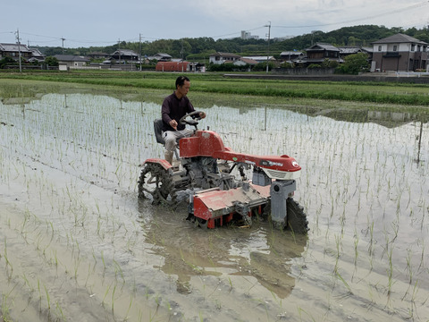 自然栽培【イセヒカリ】白米20kg(5kg×4) 令和5年度兵庫県産 農薬肥料不使用の自然栽培米