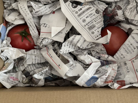 毎食トマト！バクバク食べちゃう栄ちゃんトマト　大きめ3キロ入り