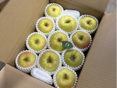 🍏【トキ】🍏約３キロ9～11玉《家庭用》ID162925