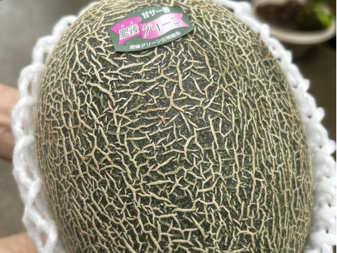 【限定30セットお試し販売】すいか（ひとりじめ）＆メロン（肥後グリーン）