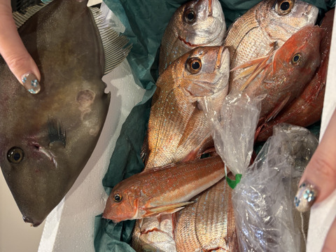 美味しいけん食べてみて
🐟未利用魚🐟詰め合わせ！
1.0kg～1.5kg前後(2〜4種類)80サイズ