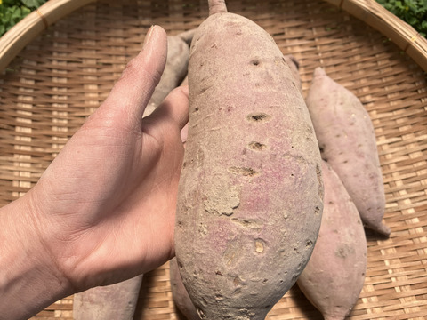 ＊自然栽培〈特大べにはるか〉大分県産さつまいも 4kg