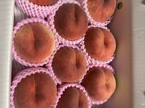 🍑さくら白桃　3kg 8～14玉　9月上旬発送　希少な桃　【ASIAGAP認証農場：津軽農園】　安心・安全な桃　収穫した日に発送　家庭用　農家直送【朝どれ】