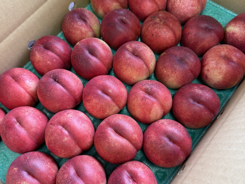 先行予約❗️ネクもも🍑ハネージュ🍑5キロ箱 22玉〜28玉　秀品