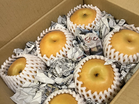 令和8年9月発送【予約】梨 南水 良品　約2kg 長野県産 大好評‼️