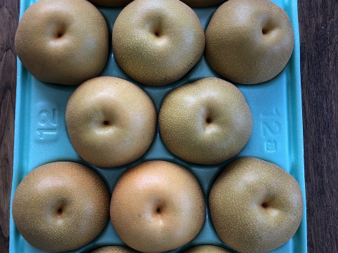 豊水　家庭用5㎏大玉12玉