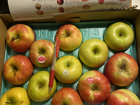 発送中！低農薬で皮ごと🙆家庭用青森りんご3品種食べ比べ3kg🍎🍏🍎【りんご食べ比べ】
