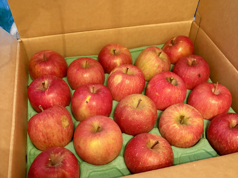 小傷あり サンふじ 5キロ箱 12玉 長野県産