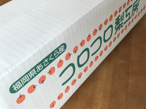 糖度ピークです‼️【大きさにも美味しさにもびっくり‼️】新高梨(2-4個入)贈答用約2.5kg✨️コロコロ梨工房の自信作‼️甘くてとってもフルーティー✨️鮮度を保つ為クール便で発送します🚚