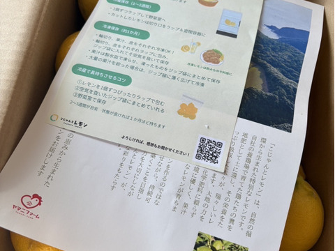 【天皇杯受賞農家】高知県大月町産・農家直送 こじゃんとレモン 5kg（化学肥料/防腐剤/ワックス不使用）