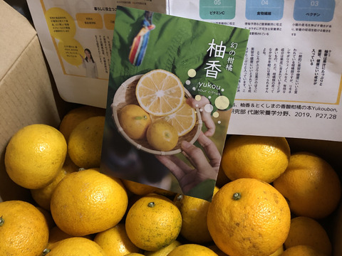 完熟ゆこう　3000g
生産量が少なくスーパーでは出回らない「幻の果実」京都の料亭では欠かせない存在であり、近年はヨーロッパのシェフたちにも愛さるローカル柑橘