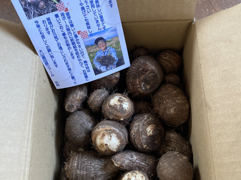 鳥取大山黒ボク土で育ったもっちり里芋2キロ