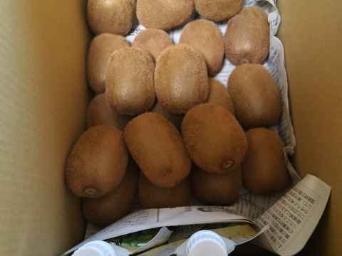 【news every.で紹介！】【お得なセットキウイフルーツ2kg + 無添加キウイジュレ2個