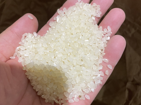 🌾【令和7年産新米】高知県産 コシヒカリ 30キロ 玄米：高知県産