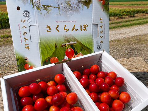 【朝どれ】《紅秀峰》さくらんぼ 山形県東根産 1kg 　Ｌ.2L バラ詰め